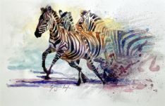 Zebra Watercolour Painting